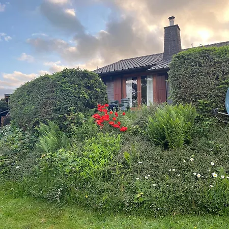 Blockhaus Ferienzauber Iii Bromskirchen